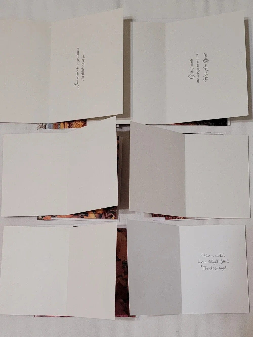Greeting Card Bundle (40 Cards), Current & Suzy's Zoo -  Easter, Fall, Halloween